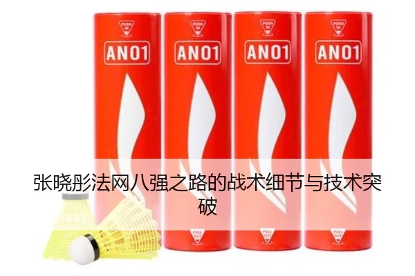 张晓彤法网八强之路的战术细节与技术突破
